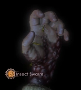 167px-Insect Swarm