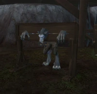 Image of Captive Worgen