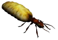 GiantAlbinoAntQueen