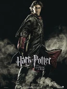 Pottergoblet-8