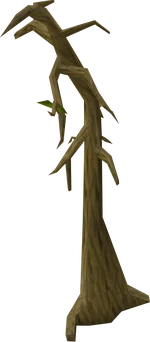 Dying tree