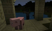 Pigu-2