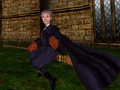 Madam Hooch (PC).JPG