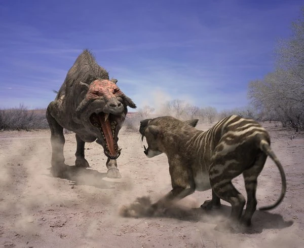 Entelodon Walking with Dinosaurs Wiki