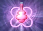 Flora FairyDust