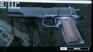 Colt 45