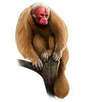 Huge item uakari 01.png