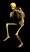 User saccade