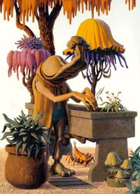 Momaw Nadon (Bafforr trees)