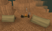 Ullek research camp