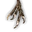 Tw2 ingredient harpyclaws