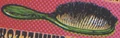 CombAChameleon2.jpg