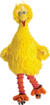 BigBirdRollerSkating