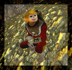 SpaceMonkey