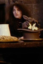 Unidentified female Hogwarts employee (IV)