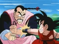 GokuVSTao