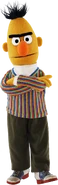 Bert