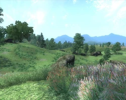 Heartlands