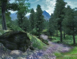 GreatForest