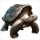 Item galapagostortoise 01