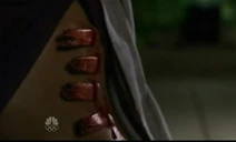 Ribs
