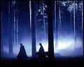 Forêt interdite.jpg