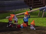 Gnome life stages