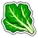 Crop Spinach