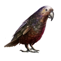 Huge item kaka 01.png