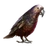 Item kaka 01.png