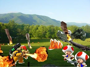 Mario war 3