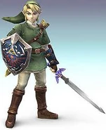 Link brawl