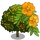 Vera Wood Tree-icon