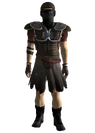 Nv-legion-armor