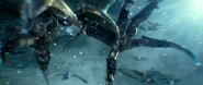 Battleclaws