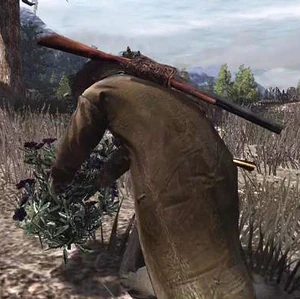 Rdr violet snowdrop