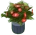 Red Flowers