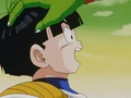 GohanAndPiccolo