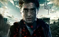 Harry Wallpaper 2.jpg
