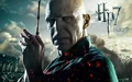 Voldemort Wallpaper.jpg
