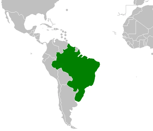 Third Empire of Brazil (Dark Brazilian Empire) Alternative History