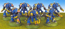 Knight Paladins