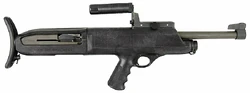 HighStandardModel10