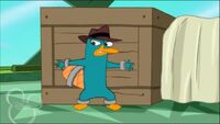 Perry2.jpg trampa de cajón