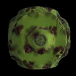 Cubic with Circle T3