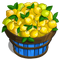 Lemon Basket-icon