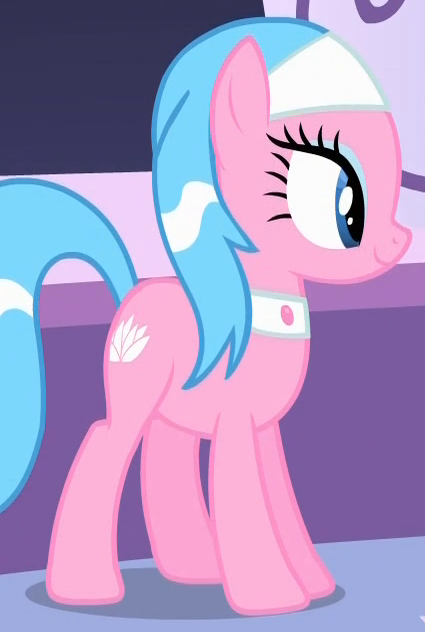 Spa ponies - My Little Pony Friendship is Magic Wiki