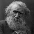 HP quiz TS Burke.jpg