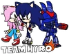 Team HYRO.png