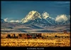 Bolivian Altiplano
